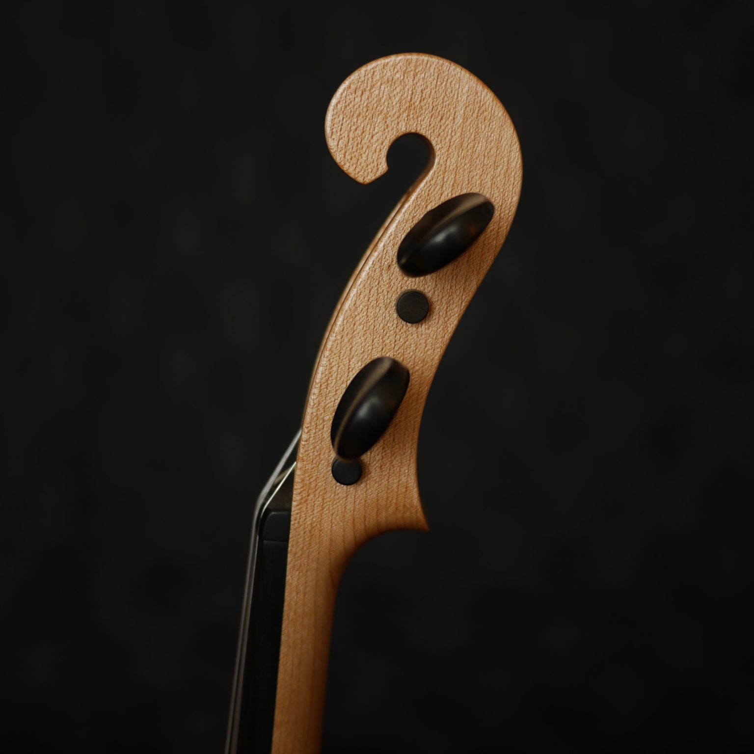 Elvari Violins – Electric Violins